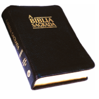 baixar a Bíblia digital grátis
