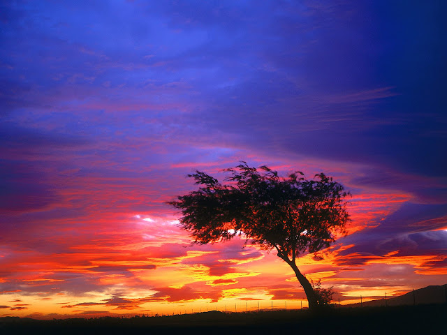 Sunrise at palmdale California nature wallpaper