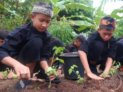 Siswa SDN sedang menanam cabai di sekolah