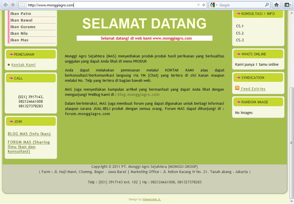 Kumpulan Contoh Web Design Sederhana ~ Marsandre Jatilaksono