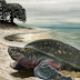 Terrestrial Mesozoic Ninja Turtles