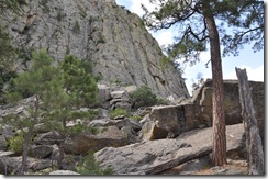 Wyoming 2009 125