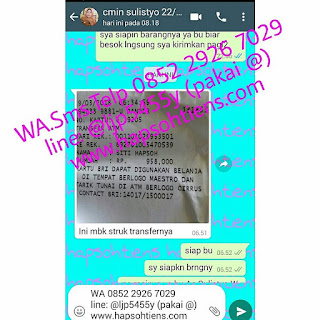 Hub 085229267029 Jual Obat Kanker Herbal Pesisir Barat Agen Distributor Toko Stokis Cabang Tiens Syariah