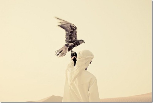 dubai-by-christopher-wilson-600x400