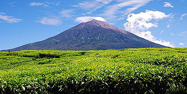 Tips and visit places: 10 Famous Mountain in Indonesia