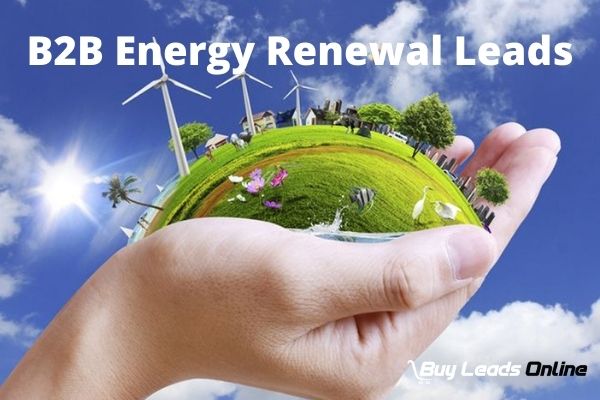 B2b Energy Renewal Web Leads