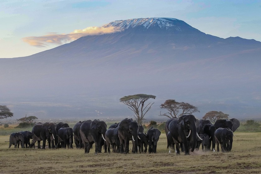 safari tips kilimanjaro