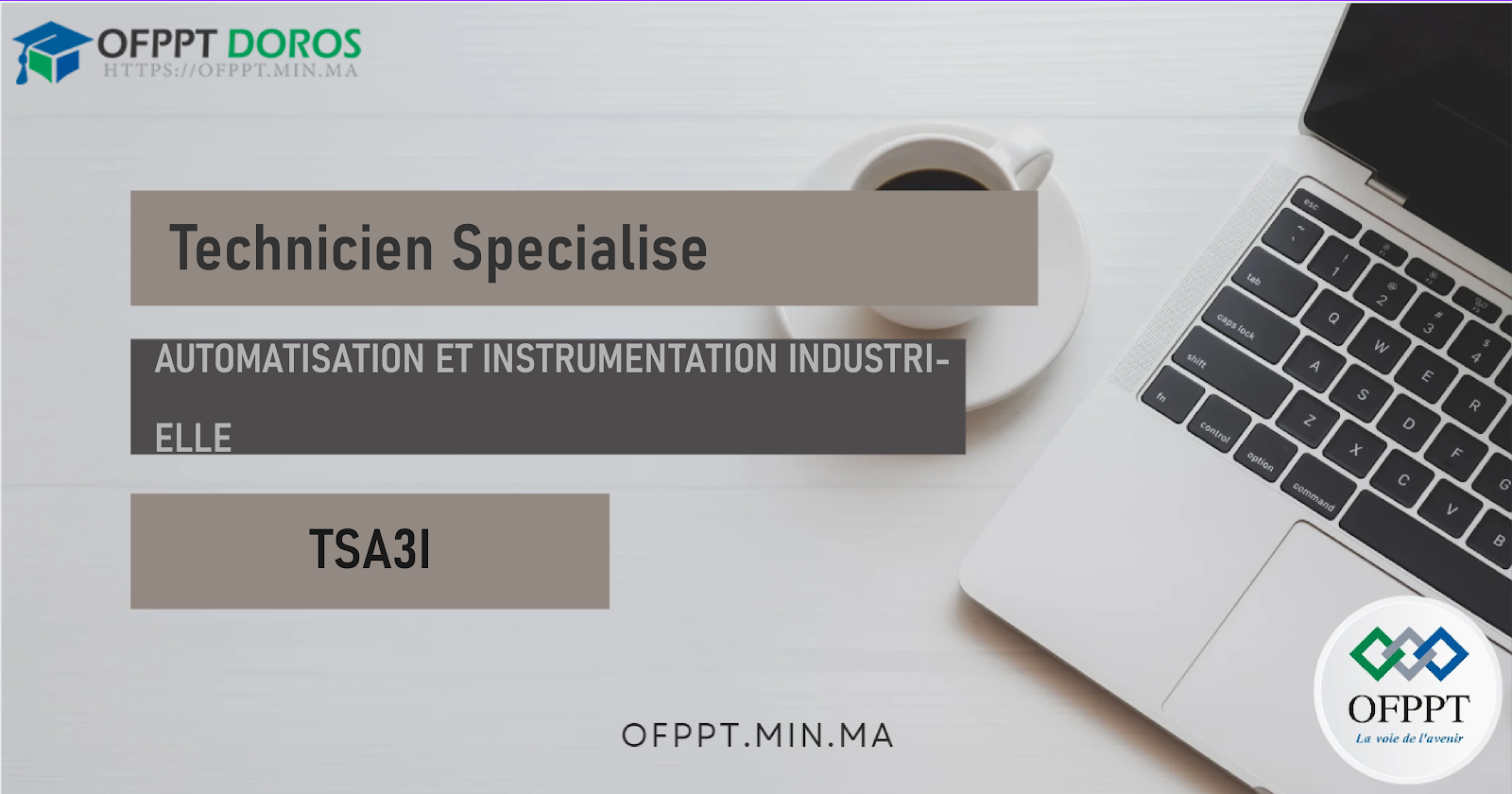 Technicien Spécialisé en Automatisation et Instrumentation Industrielle (TSAII)