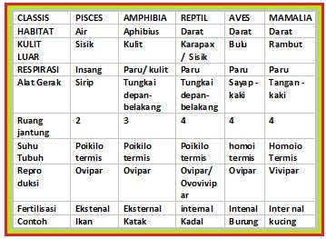  HEWAN  BERTULANG BELAKANG VERTEBRATA  Handoyo