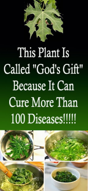 This Plant Is Called "God's Gift" Because It Can Cure More Than 100 Diseases!!!!! (Formula)