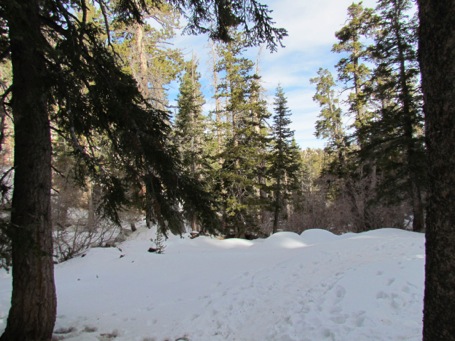 HikingMountSanJacinto-61-2012-01-14-14-11.jpg