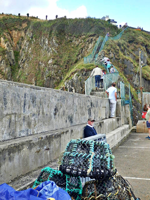 Steps leading from Mavagissey outer harbour wall to road.