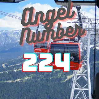 Angel Number 224