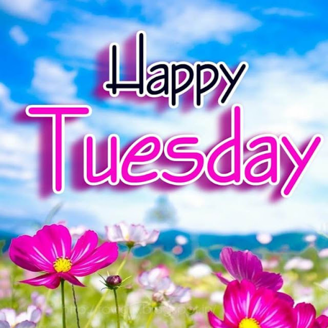 Happy Tuesday Good Morning Images 8