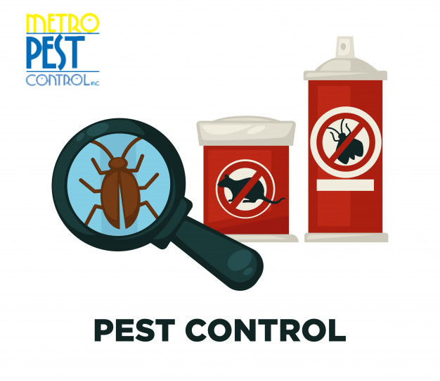 Considerations to Make When Hiring a Pests Removal Service in Bronx