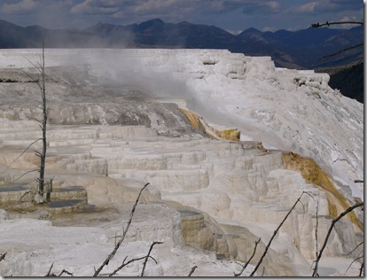 ys2 terraces2