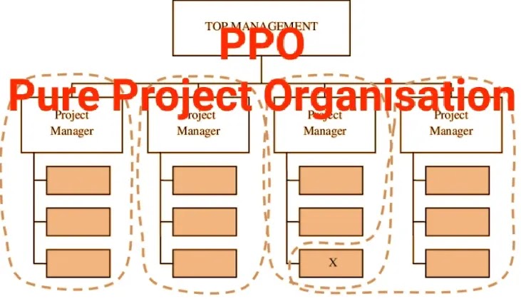 Pure project organization