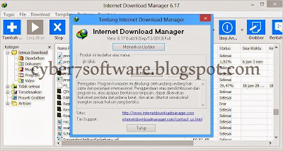 Internet Download Manager 6.18 build 1