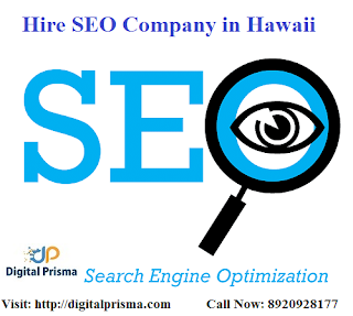 Hire SEO Company in Hawaii