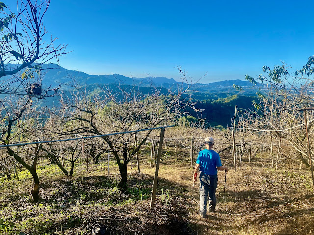 大堀底下山