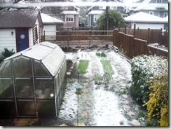 SpringSnow