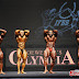 Bodybuilders Show Beauty Of Strength In ‪Hong Kong‬ Competition By The International Federation of BodyBuilding and Fitness