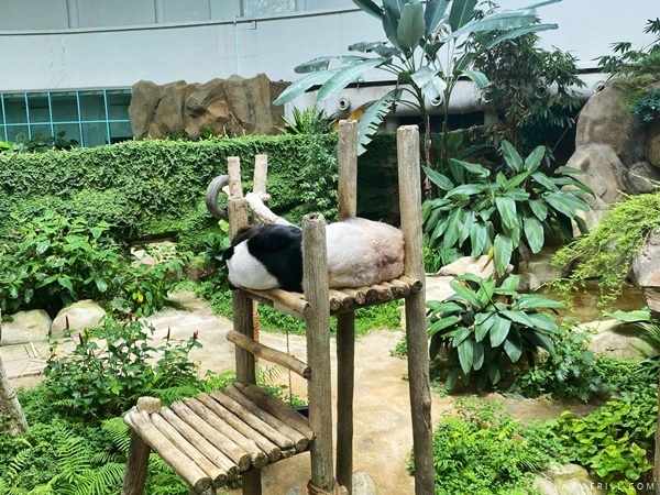 Pengalaman Seharian Jalan-Jalan di Zoo Negara Secara PERCUMA!