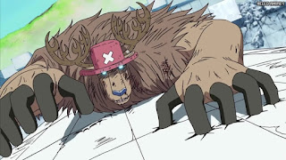 ワンピース アニメ エニエスロビー編 293話 チョッパー ランブルボール 暴走 Chopper | ONE PIECE Episode 293 Enies Lobby