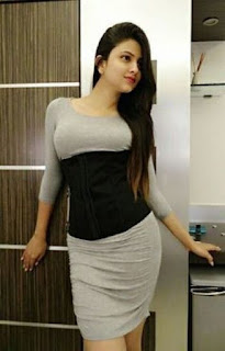  Escort Service Ludhiana