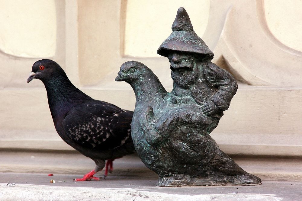 wroclaw-dwarves-9