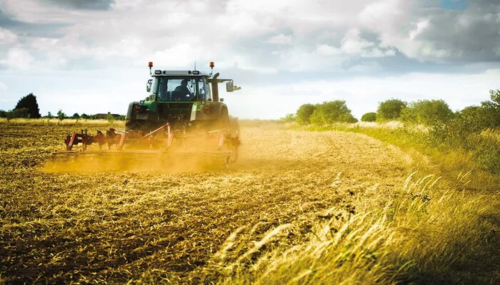 Campagne céréalière 2021-2022 : Une baisse drastique dans la récolte