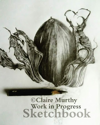 graphite illustrastion of a nut
