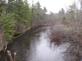 Pere Marquette River at M-37