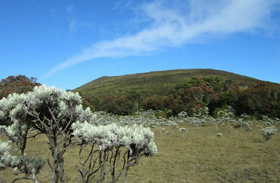 Taman Nasional Gunung Gede Pangrango 