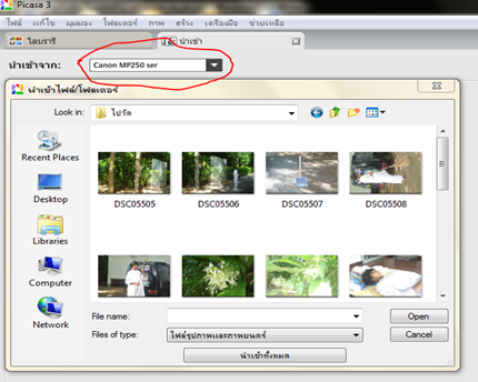 picasa