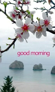 صور صباح الخير بالانجليزي , صور مكتوب عليها صباح الخير بالانجليزية , صور مكتوب عليها good morning