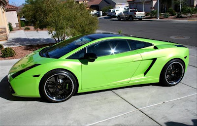 lamborghini gallardo