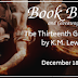 Release Blitz & Giveaway: The Thirteenth Guardian by K.M. Lewis #scifi #dystopian #postapocalyptic #giveaway #promo @RABTBookTours @kmlewisbooks
