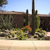 Desert Landscaping Ideas for Front Yard 