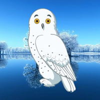 WOW Escape Winter Owl For…