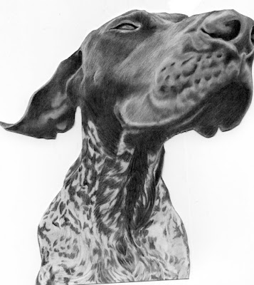 Awesome dog drawings Seen On www.coolpicturegallery.net