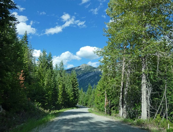 Priest Lake Road2