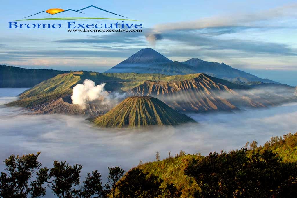 Paket Wisata Bromo Air Terjun Madakaripura