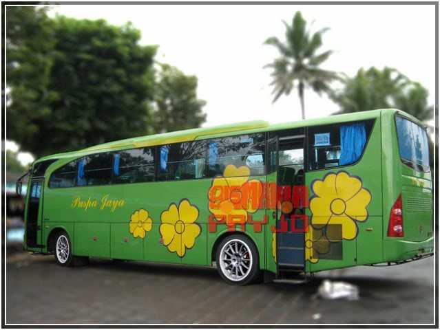 Timor modifikasi: Bus Modifikasi