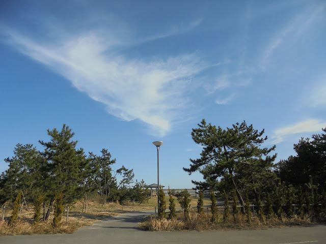 今日は東屋のある方面から歩いてみました