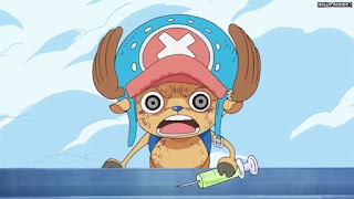 ワンピースアニメ パンクハザード編 614話 チョッパー Tony Tony Chopper | ONE PIECE Episode 614