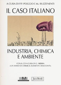 Il caso italiano. Industria, chimica e ambiente. Con CD-ROM