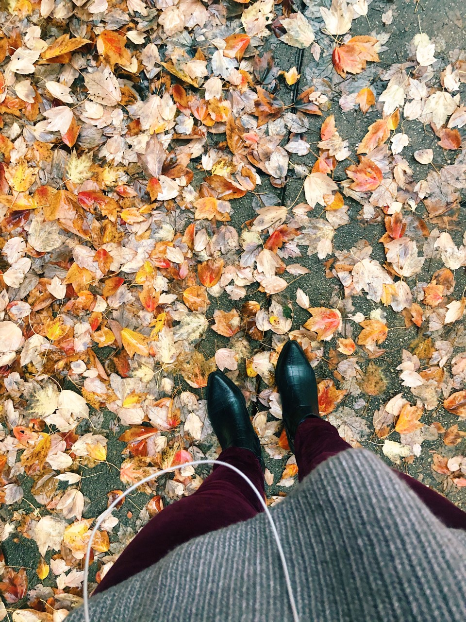 Fall Playlist | Organized Mess