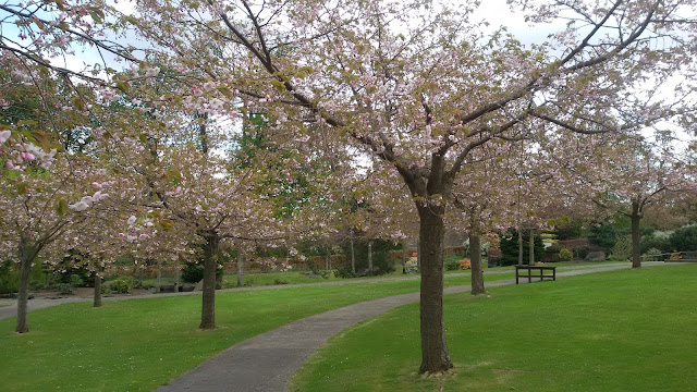 Castillo Lauriston Edimburgo Jardin Japones