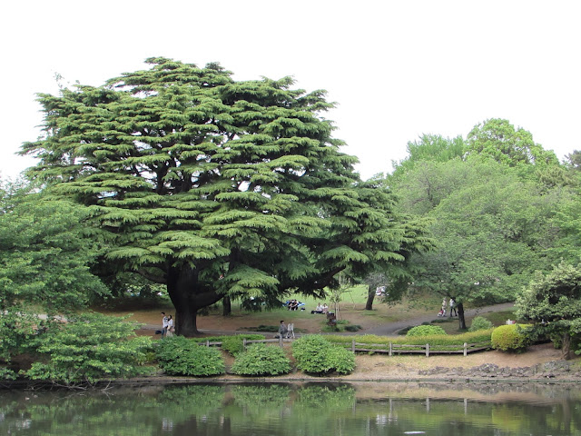 Shinjuku-gyoen